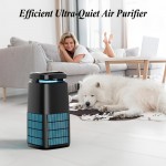 Purificadores de ar de alta eficiência para casa 4-em-1 Purificador de ar H13 Filtro de ar de alta eficiência cobrindo uma área de 1500 pés quadrados Absorvendo odores Fumaça Poeira Cabelo de animal de estimação Adequado para quarto e sala de estar Purifi