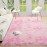 Tapete Macio e Fofo de Pelúcia com Estampa Tie Dye para Quarto Sala de Estar Decoração da Casa, Tapete de Pelúcia Colorido, Rosa, 1.52m x 2.44m
